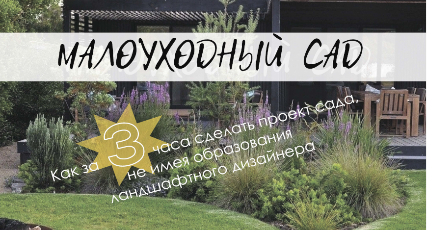 мастер-класс «Малоуходный сад за 3 часа»