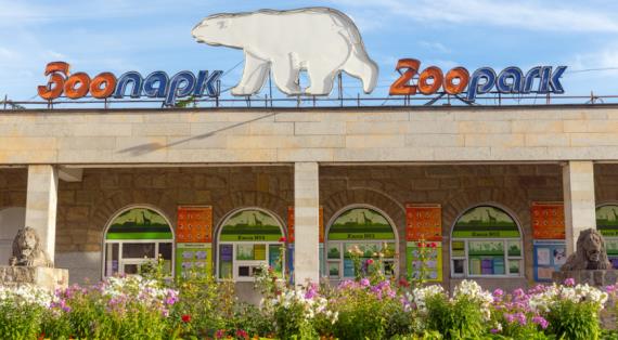 Здесь любят животных и красиво: 10 лучших зоопарков России, куда нужно съездить